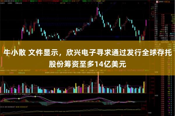 牛小散 文件显示，欣兴电子寻求通过发行全球存托股份筹资至多14亿美元