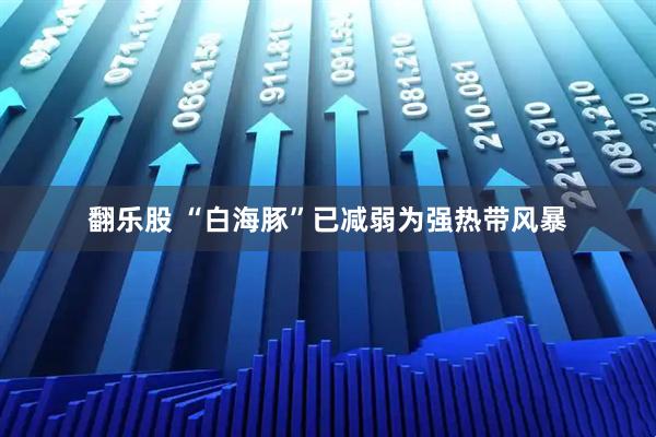 翻乐股 “白海豚”已减弱为强热带风暴